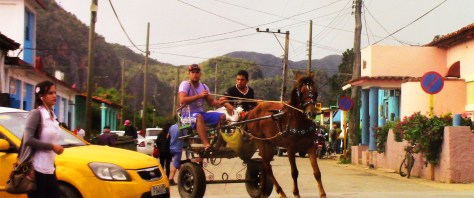 Vinales Street Horse
