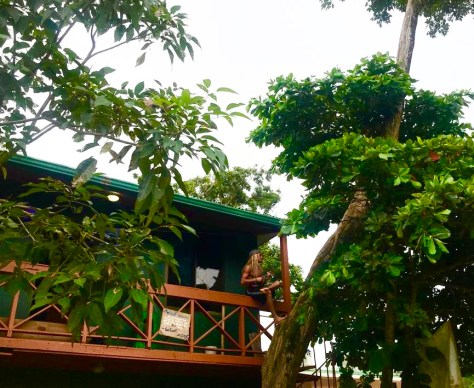 7f4ac677-636a-4876-b19e-1501589f7a38